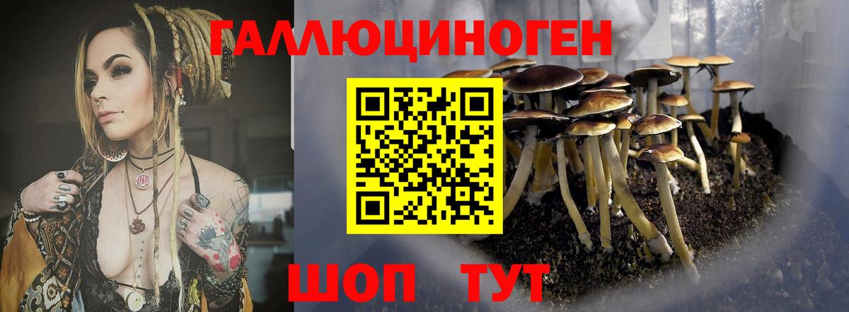 наркота  Вход с VPN  Мыски  Галлюциногенные грибы мухоморы  Псилоцибиновые грибы Psilocybe 